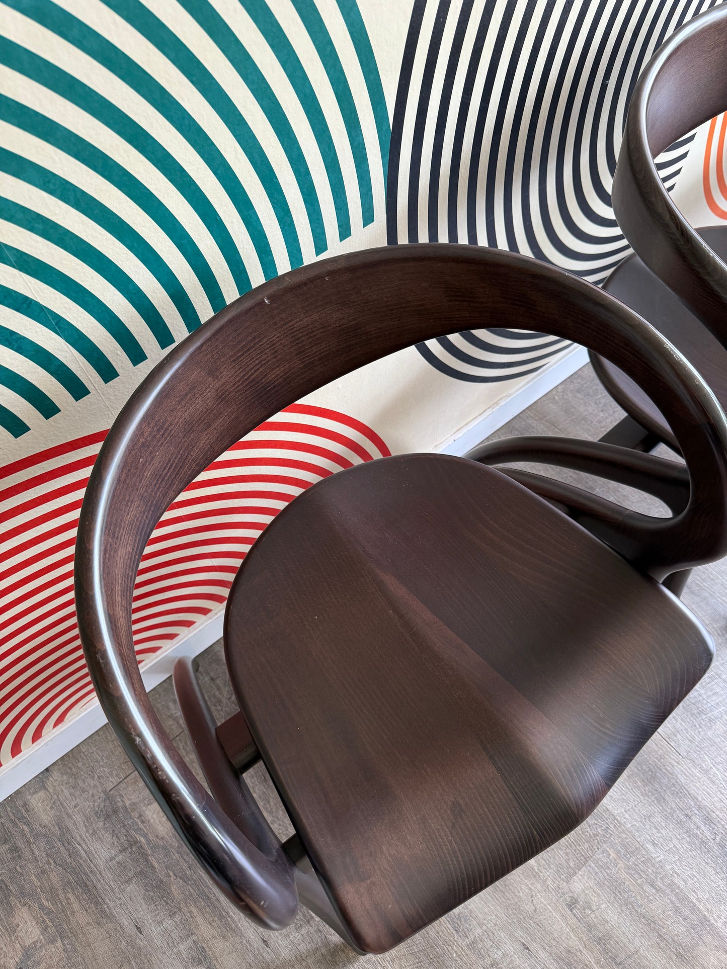 Contemporary Sculptural Dining Chairs by A. Sibau Domitalia