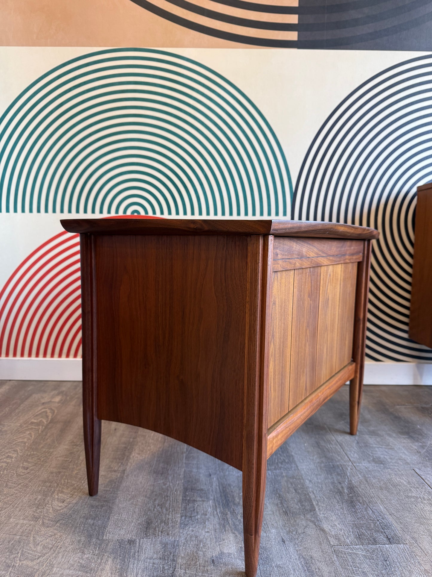 Vintage Walnut Record Cabinet