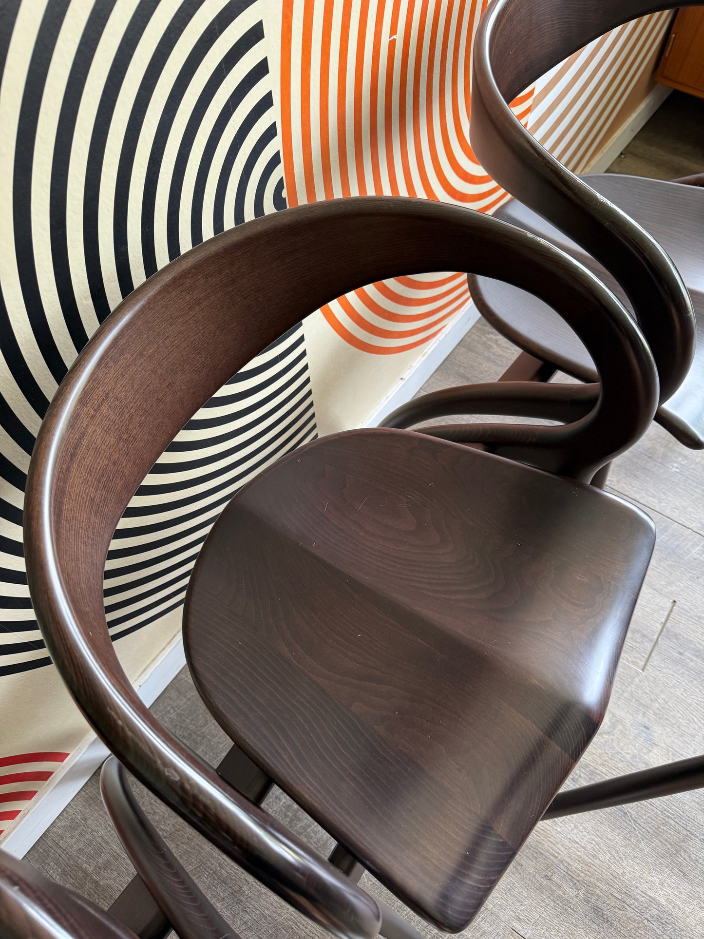 Contemporary Sculptural Dining Chairs by A. Sibau Domitalia