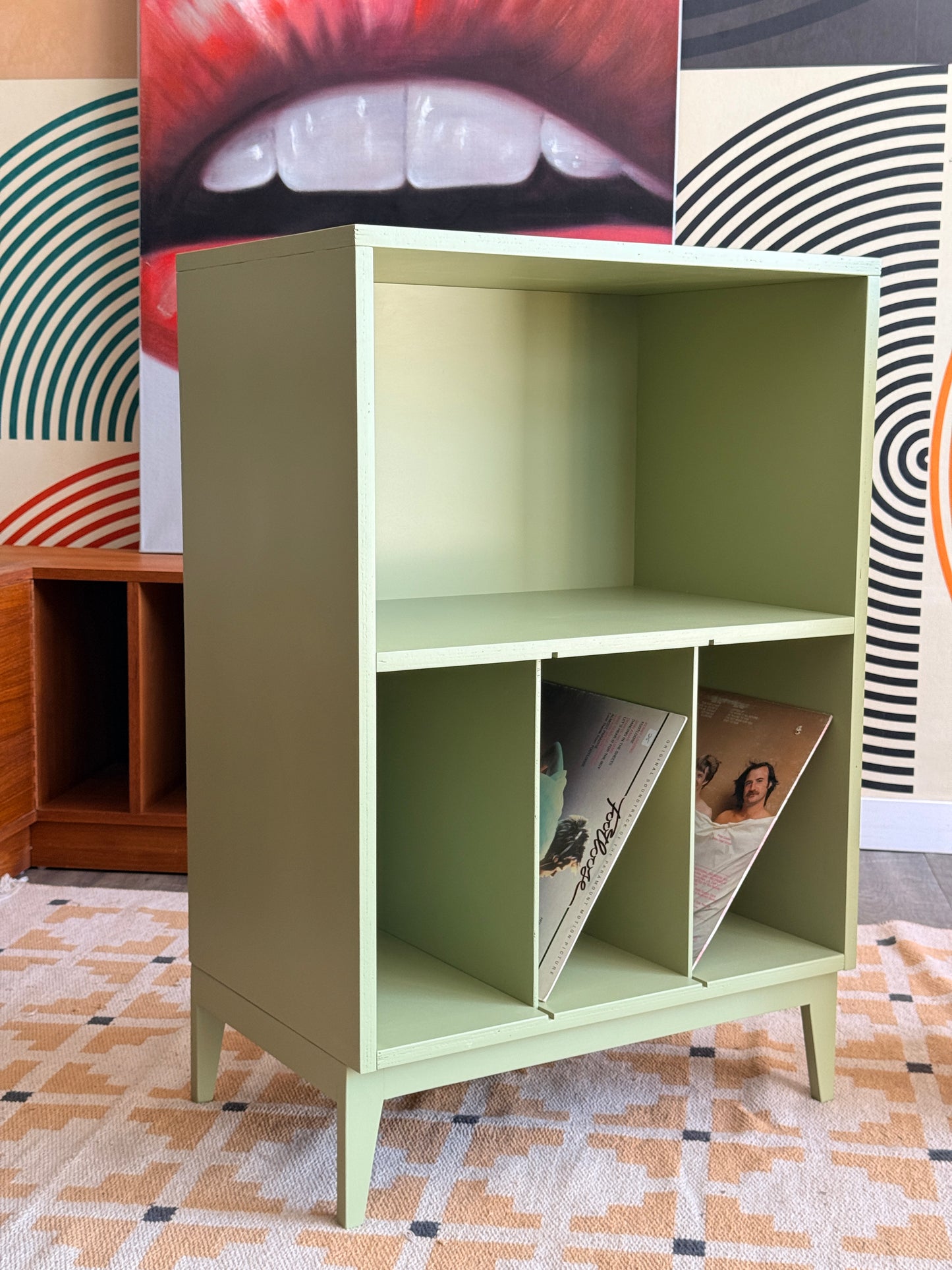 Custom Pink and Green Record Cabinet