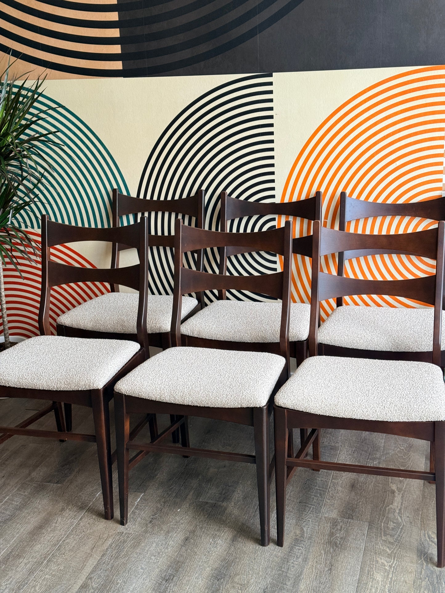 Set of 6 Dining Chairs with Newly Upholstered Seats