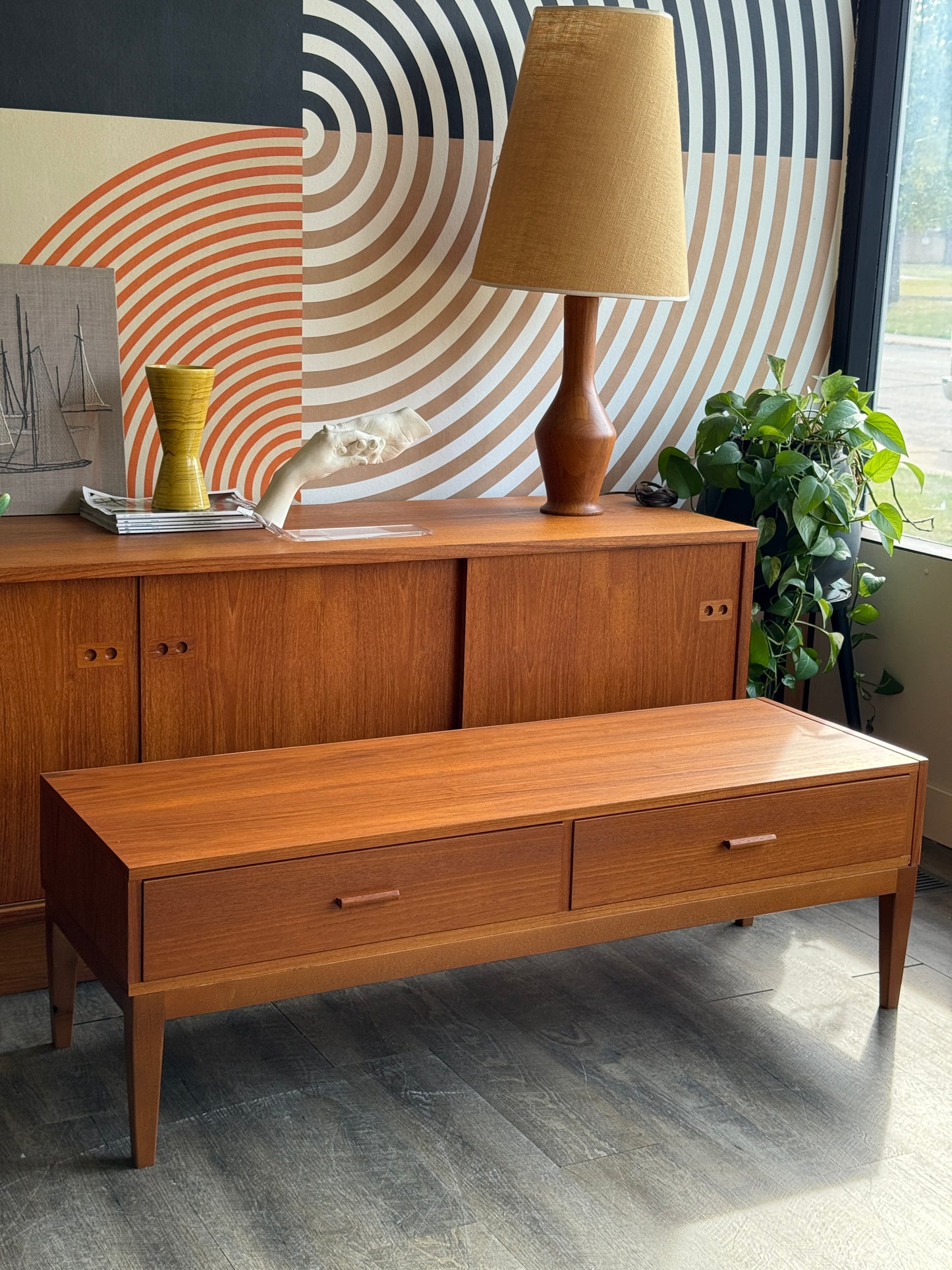 Low Vintage Teak Cabinet on Custom Base