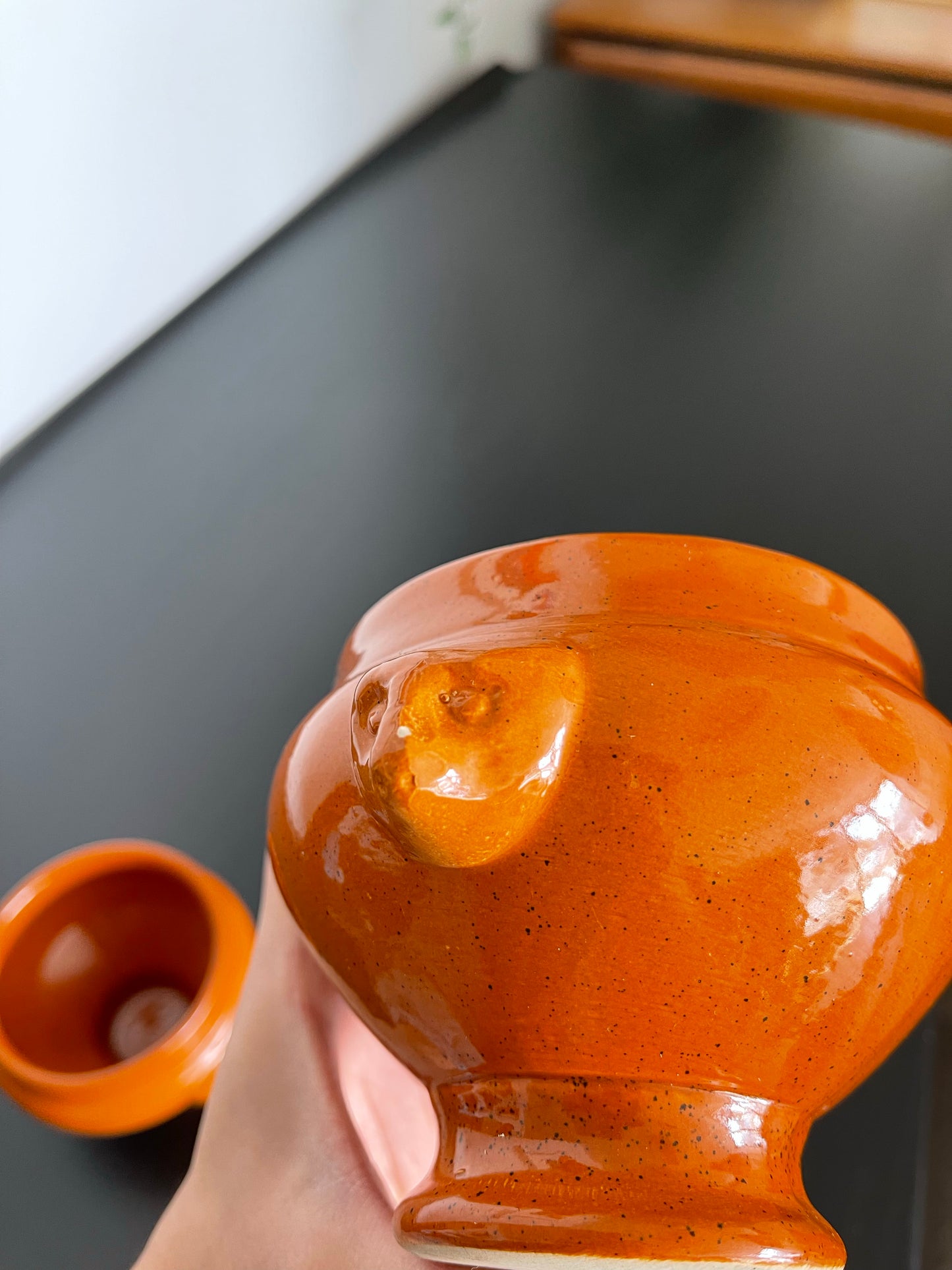 Pair of Ceramic Animal Faces French Onion Soup Bowls/Vase
