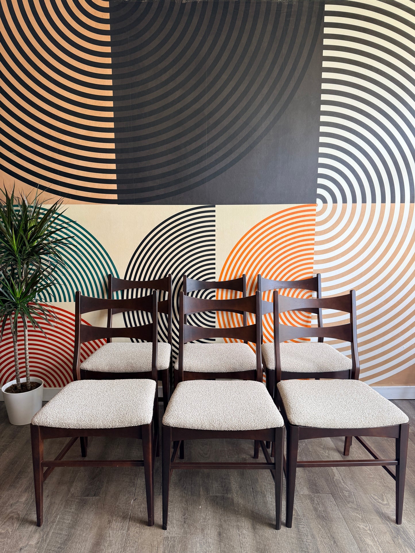 Set of 6 Dining Chairs with Newly Upholstered Seats
