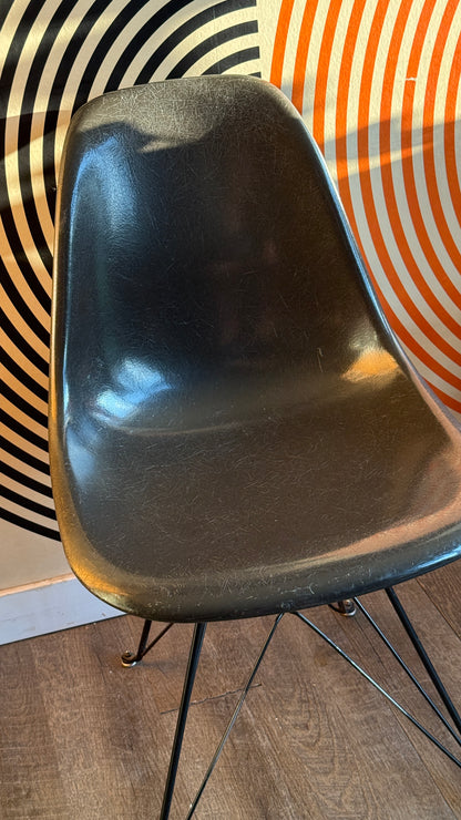 Modernica Fiberglass Side Shell Chair