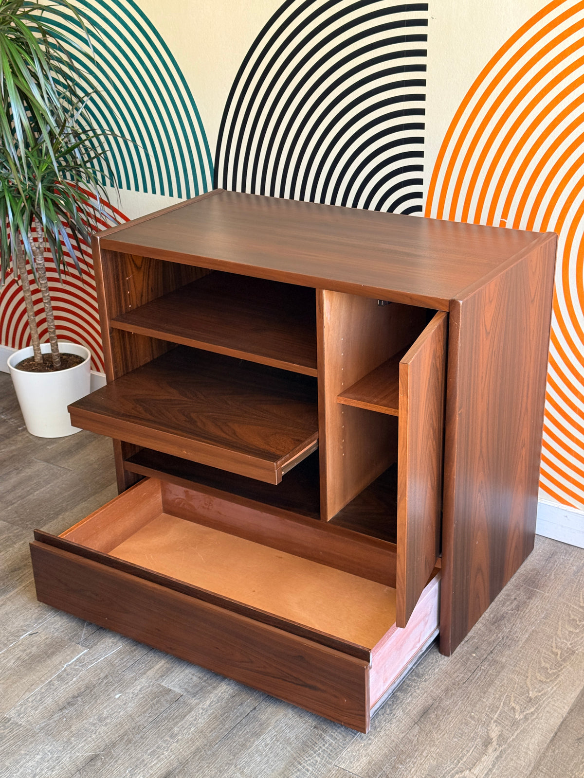 Vintage Rosewood Cabinet