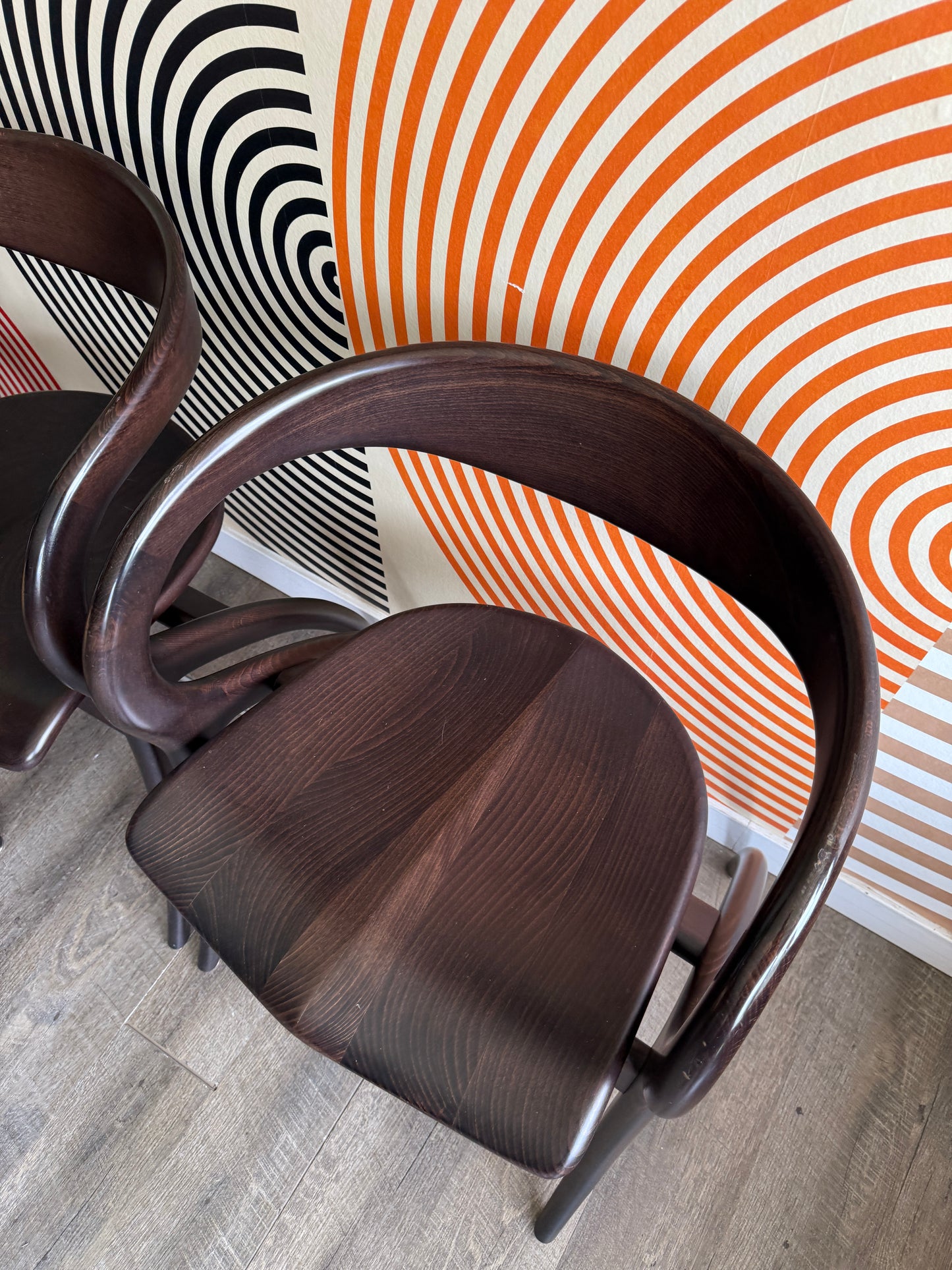 Contemporary Sculptural Dining Chairs by A. Sibau Domitalia