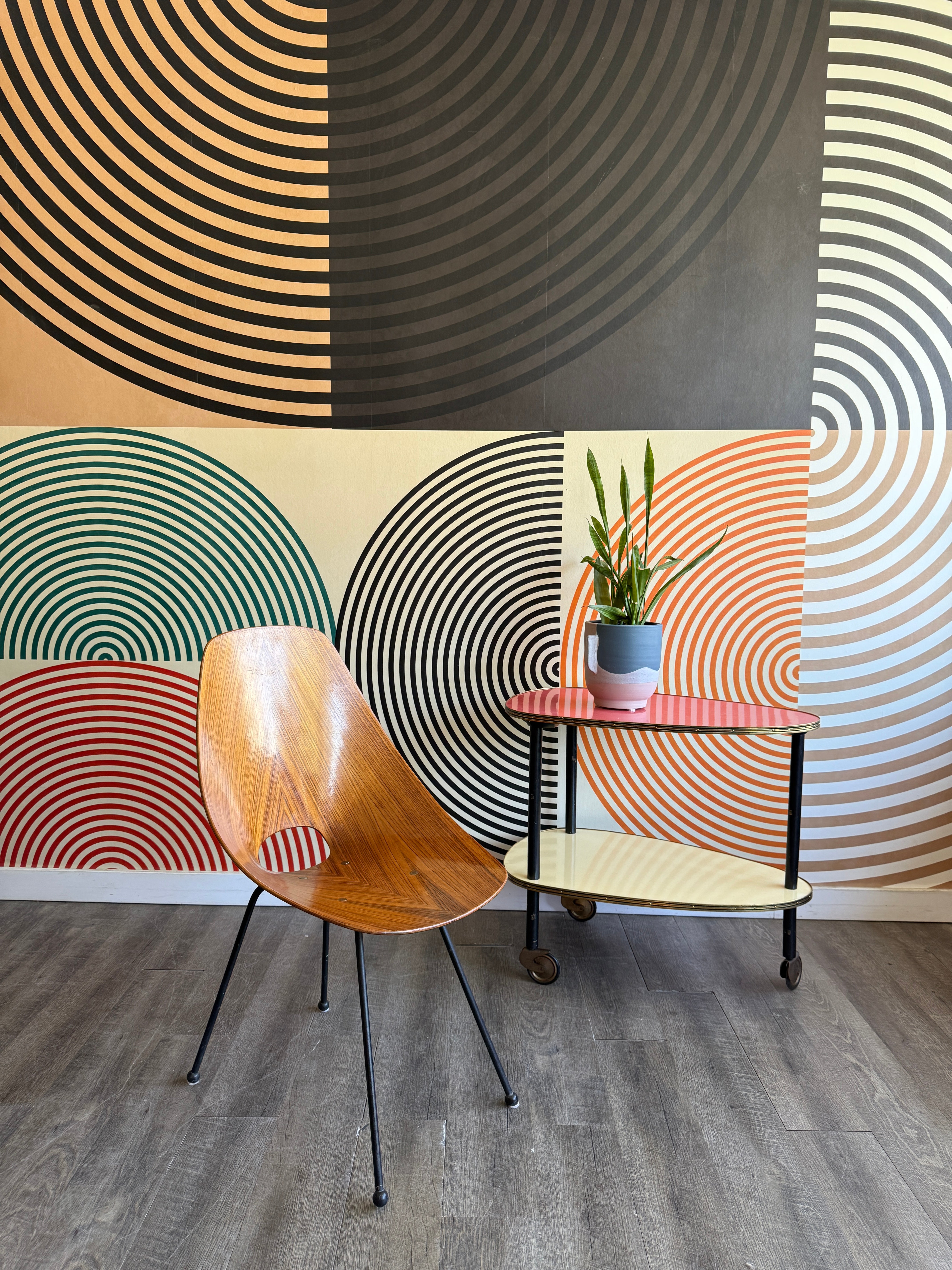 HOTTEST COLLECTION – DDStudiosLoft