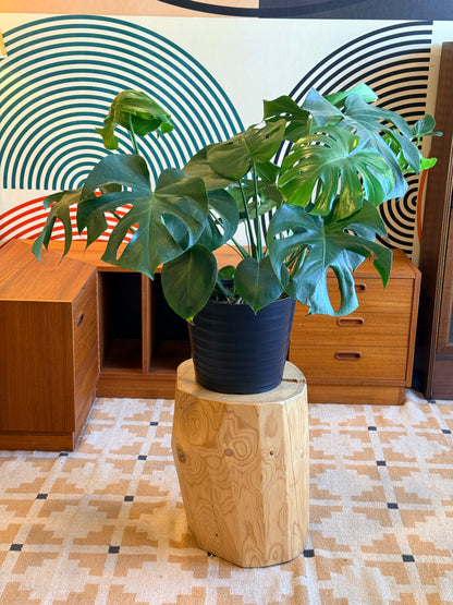 Stump Side Table/ Stool