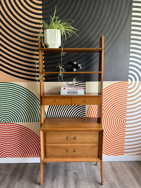 Vintage Shelving Unit/Room Divider