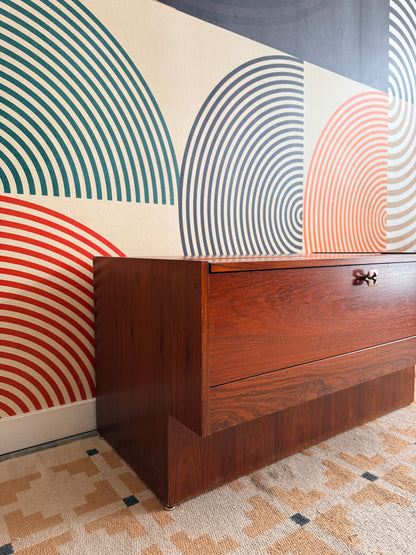 Mid-Century Danish Rosewood Storage Cabinet