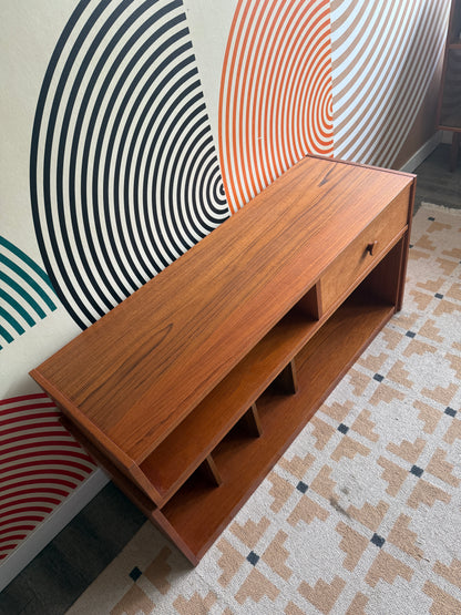 Teak Pullout Media Cabinet