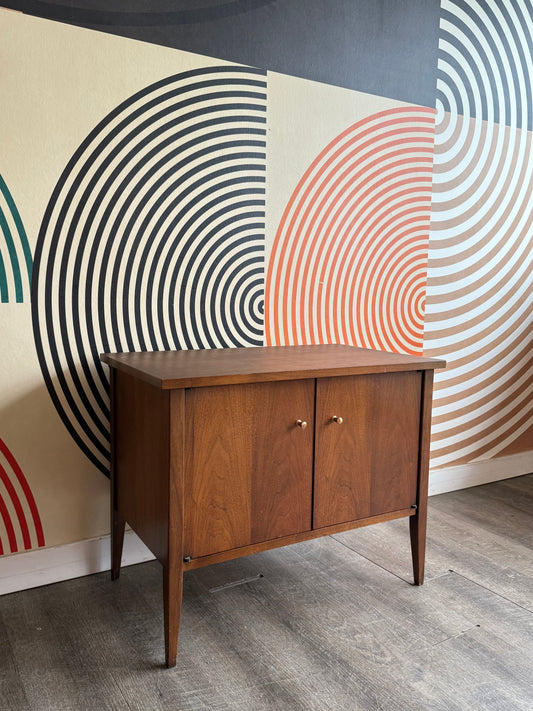 Vintage Walnut Record Cabinet