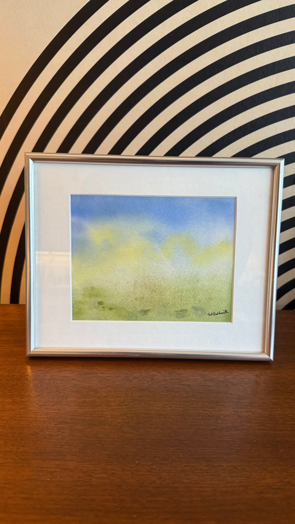 Framed Watercolour by Edmonton Artist Pat Galbraith
