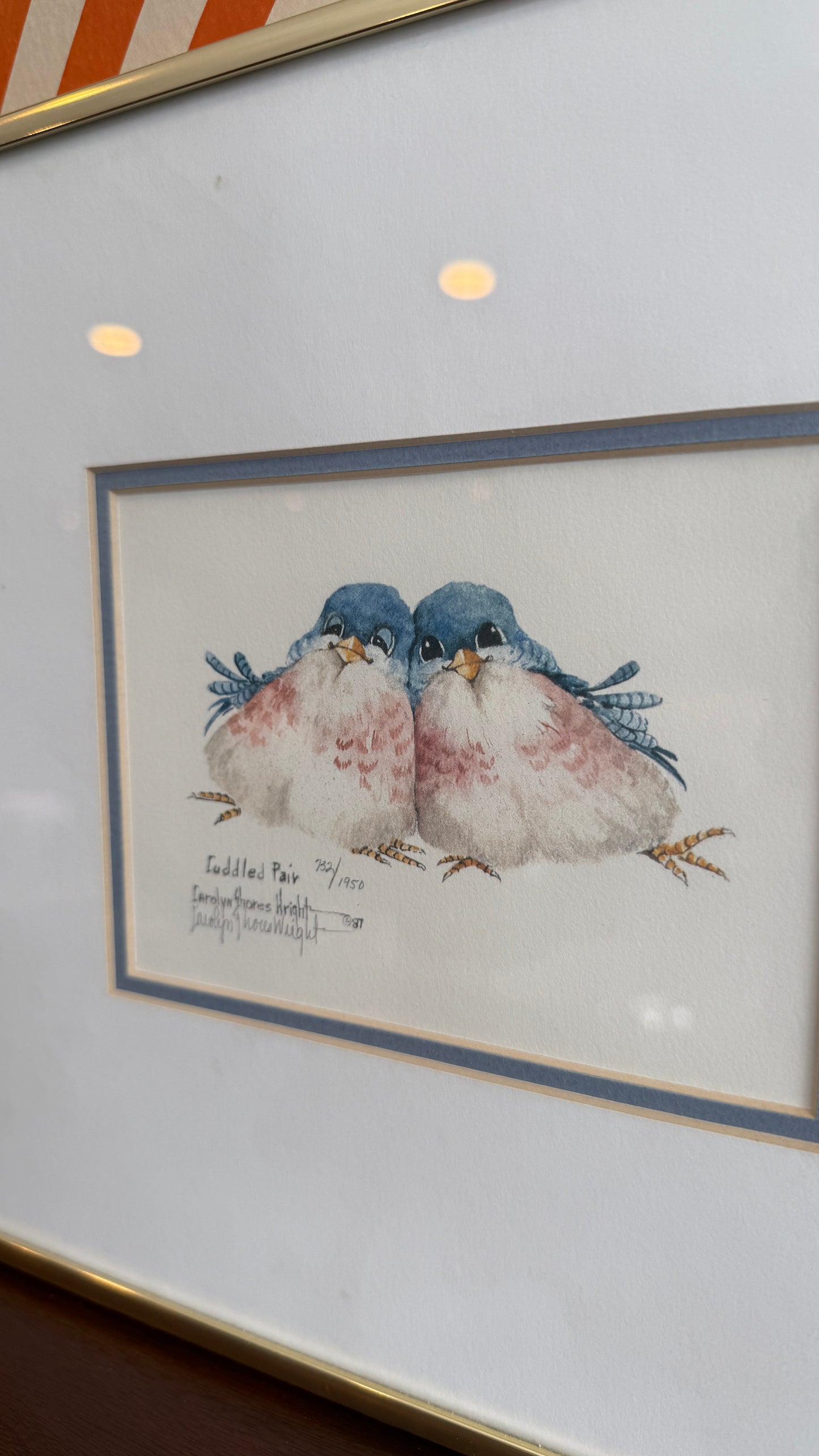“Cuddled Pair” – Limited Edition Bird Print
