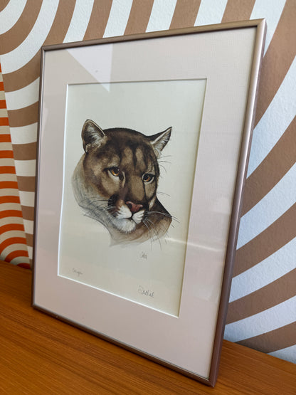Vintage Cougar Wildlife Print