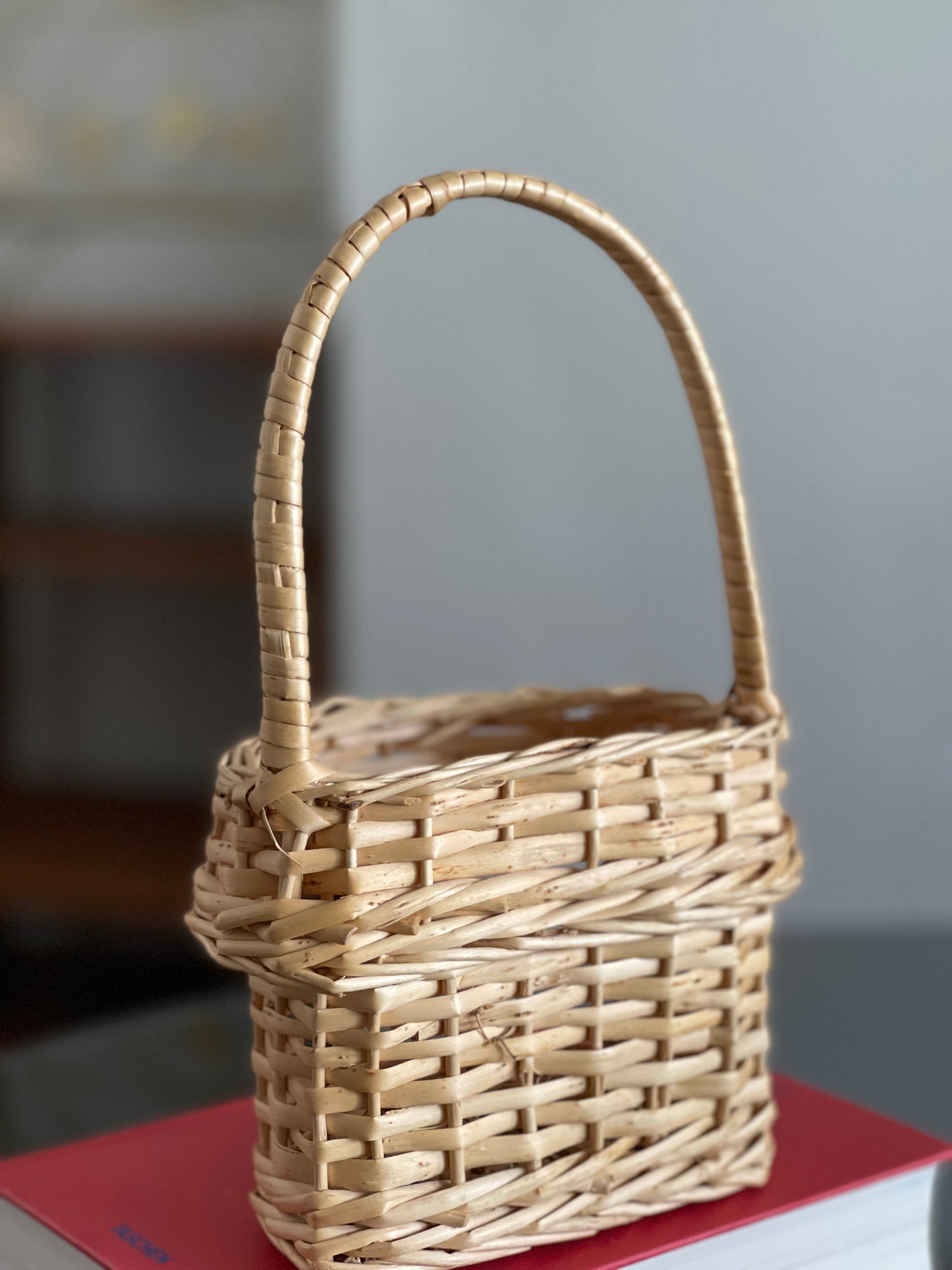 Woven Wicker Hanging Basket